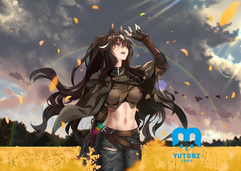 《明日方舟》流星2k电脑桌面壁纸-玉兔4K壁纸！