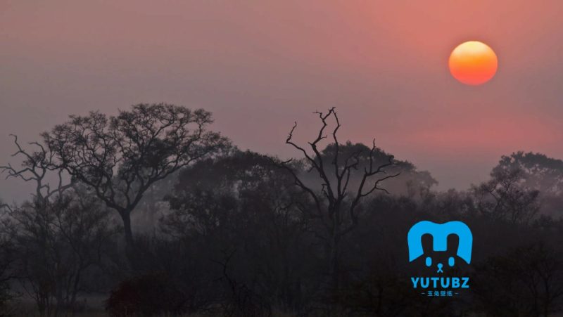 夕阳-夕阳余晖-玉兔4K壁纸！