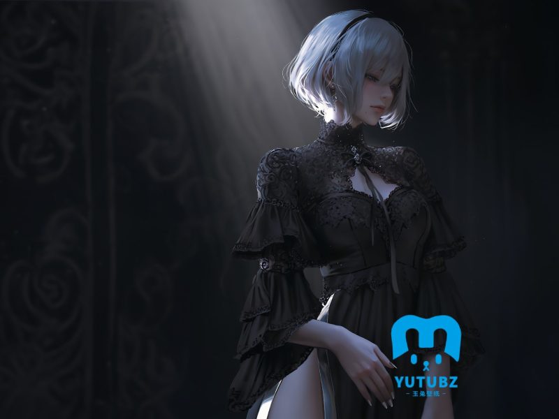 尼尔-玉兔4K壁纸！